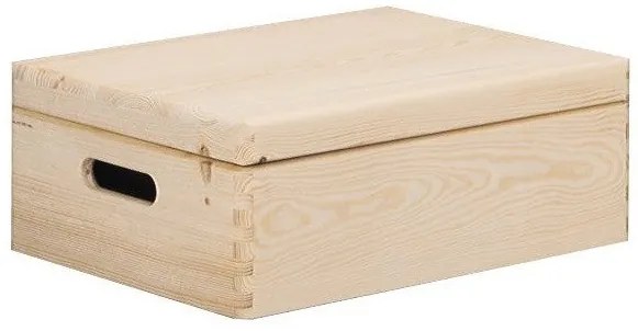 Recipient de depozitare cu capac, organizator 17 l, ZELLER