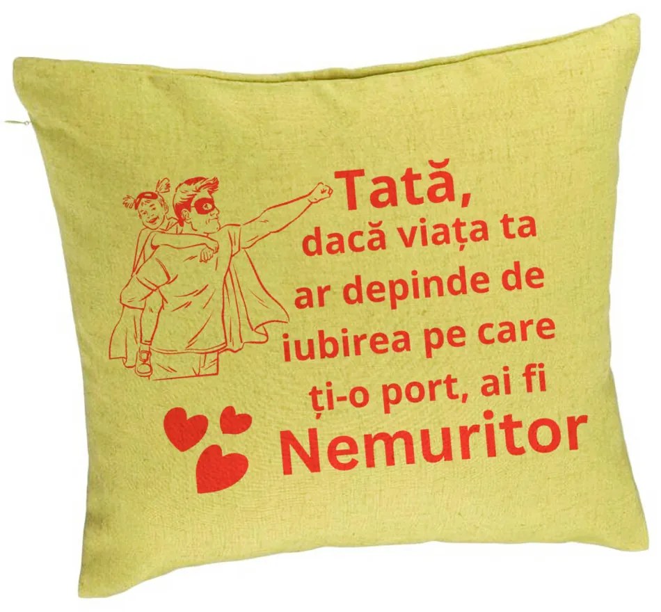 Perna Decorativa, Model pentru Tata 11, 40x40 cm, Verde, Husa Detasabila, Burduf