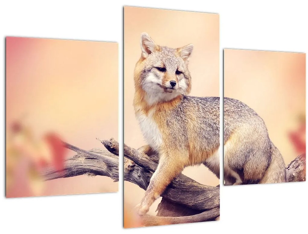 Tablou - Vulpea (90x60 cm)