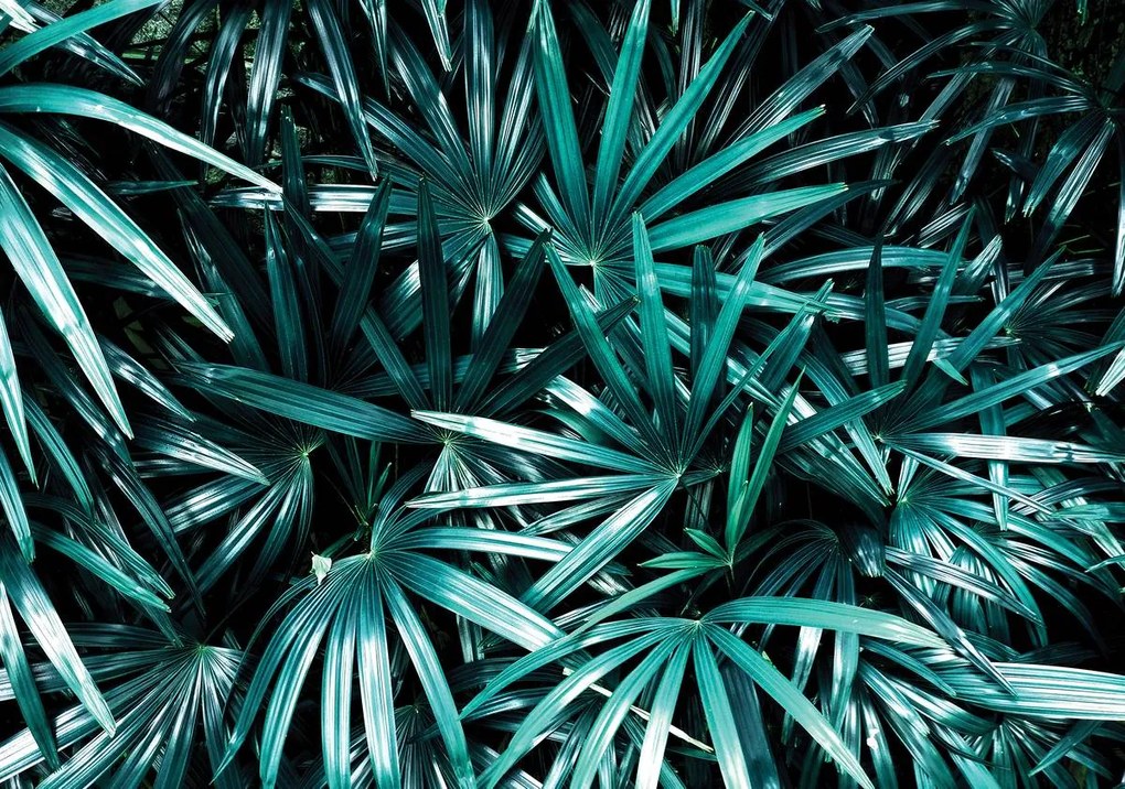 Fototapet - Frunze (152,5x104 cm)