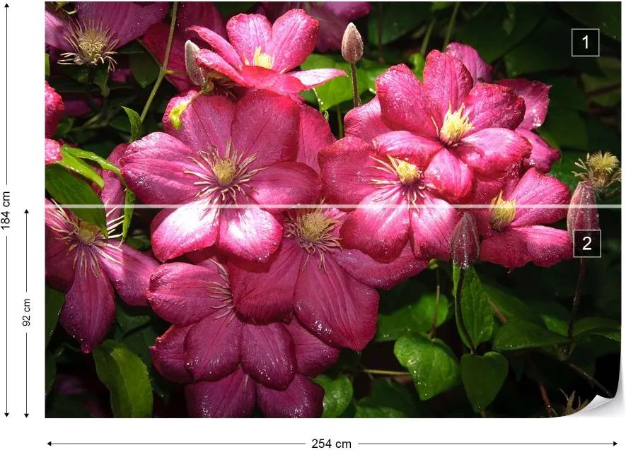 GLIX Fototapet - Pink Flowers Vliesová tapeta  - 254x184 cm