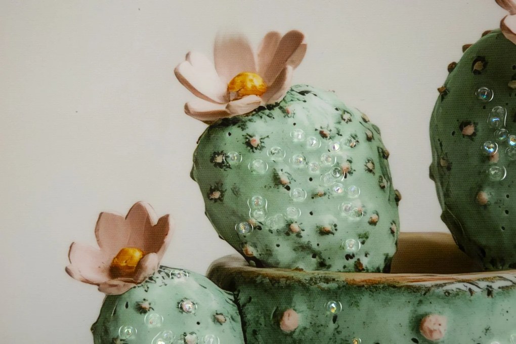 Mauro Ferretti Tablou Imprimat Pe Pânză Lacuită, Cu Ramă, Model ,,Borcan Cu Cactus", Varianta C, Dimensiuni 40 X 2,8 X 40 Cm | Aosom Romania