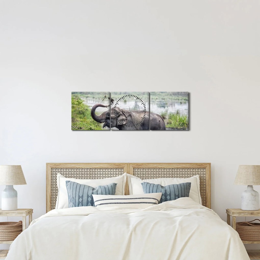 Tablou - Elefant de scăldat (cu ceas) (90x30 cm)