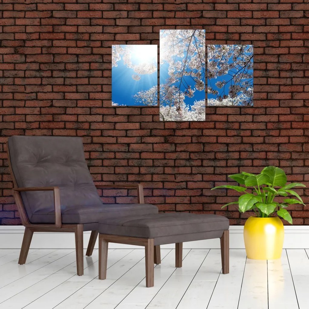 Tablou - Flori de cireș (90x60 cm)