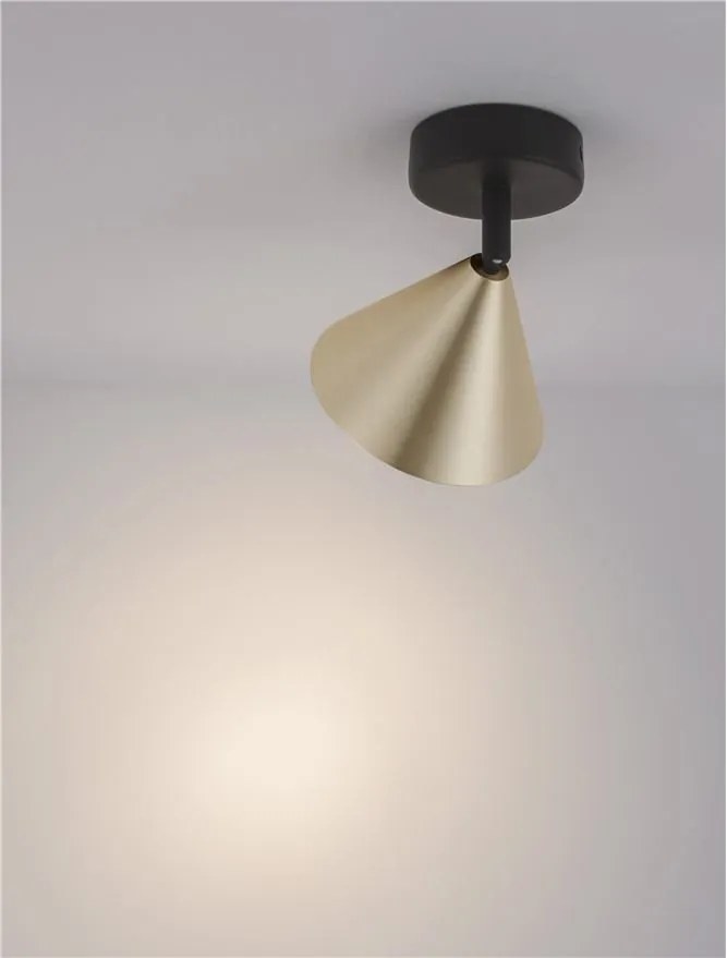 Plafoniera/Spot directionabil CONICO auriu, NVL-9011424