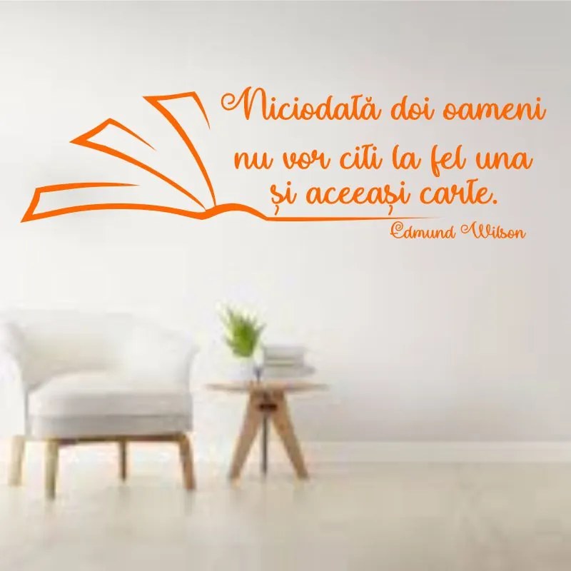 Sticker perete Nu citim la fel aceeasi carte