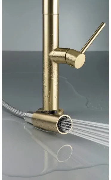 Baterie de chiuvetă cu cap de duș detașabil Deante BQO_R72M OLFATO auriu periat