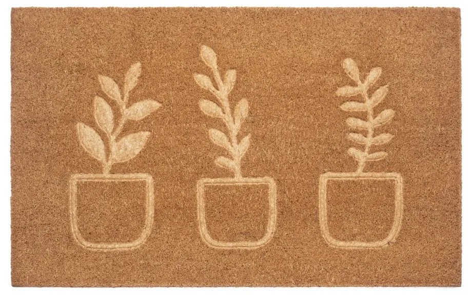 Covoraș de intrare din fibre de cocos 75x45 cm Flowerpot - Hanse Home