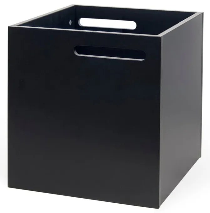 Cutie depozitare pentru bibliotecă TemaHome Berlin, negru