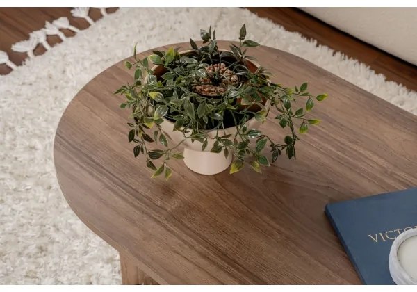 Masă de cafea NEL, nuc