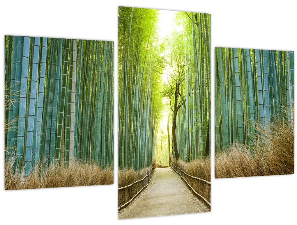 Tablou - Pădure de bambus (90x60 cm)