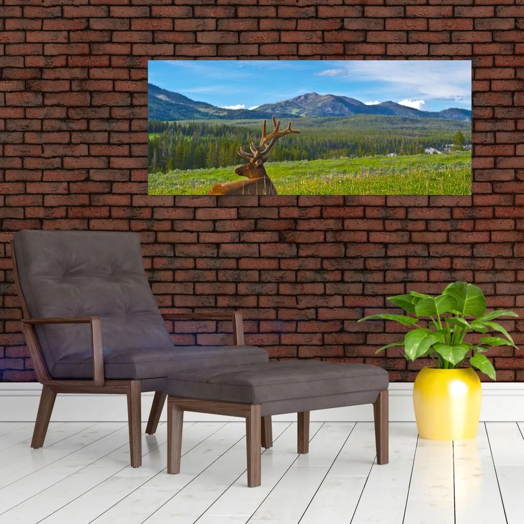 Tablou - Cerb în luncă (120x50 cm)