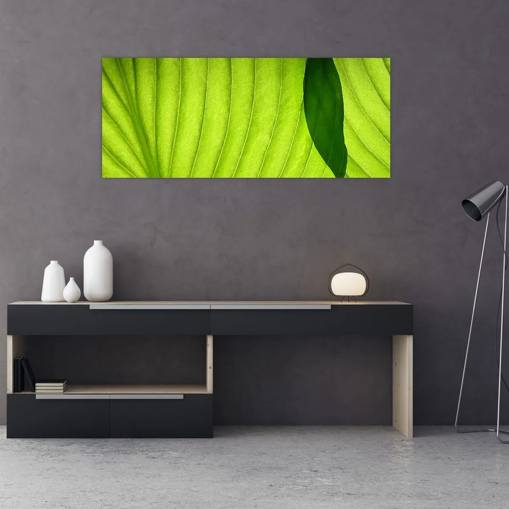 Tablou - Detaliu de frunză verde (120x50 cm)