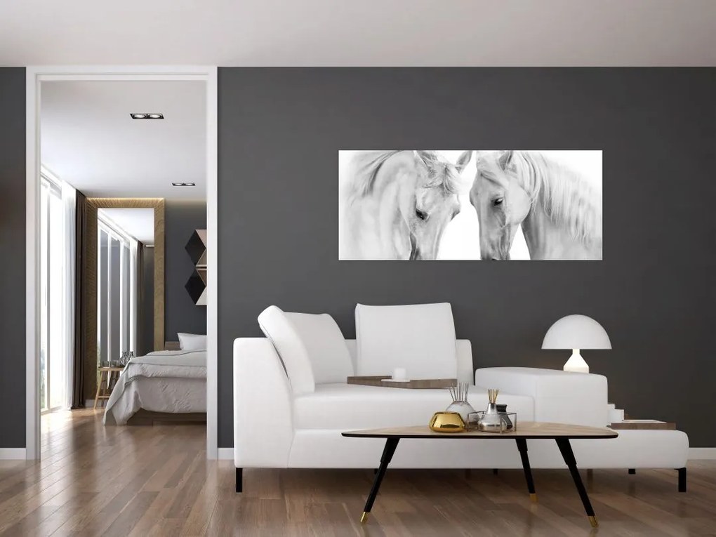 Tabou - Cai albi (120x50 cm)