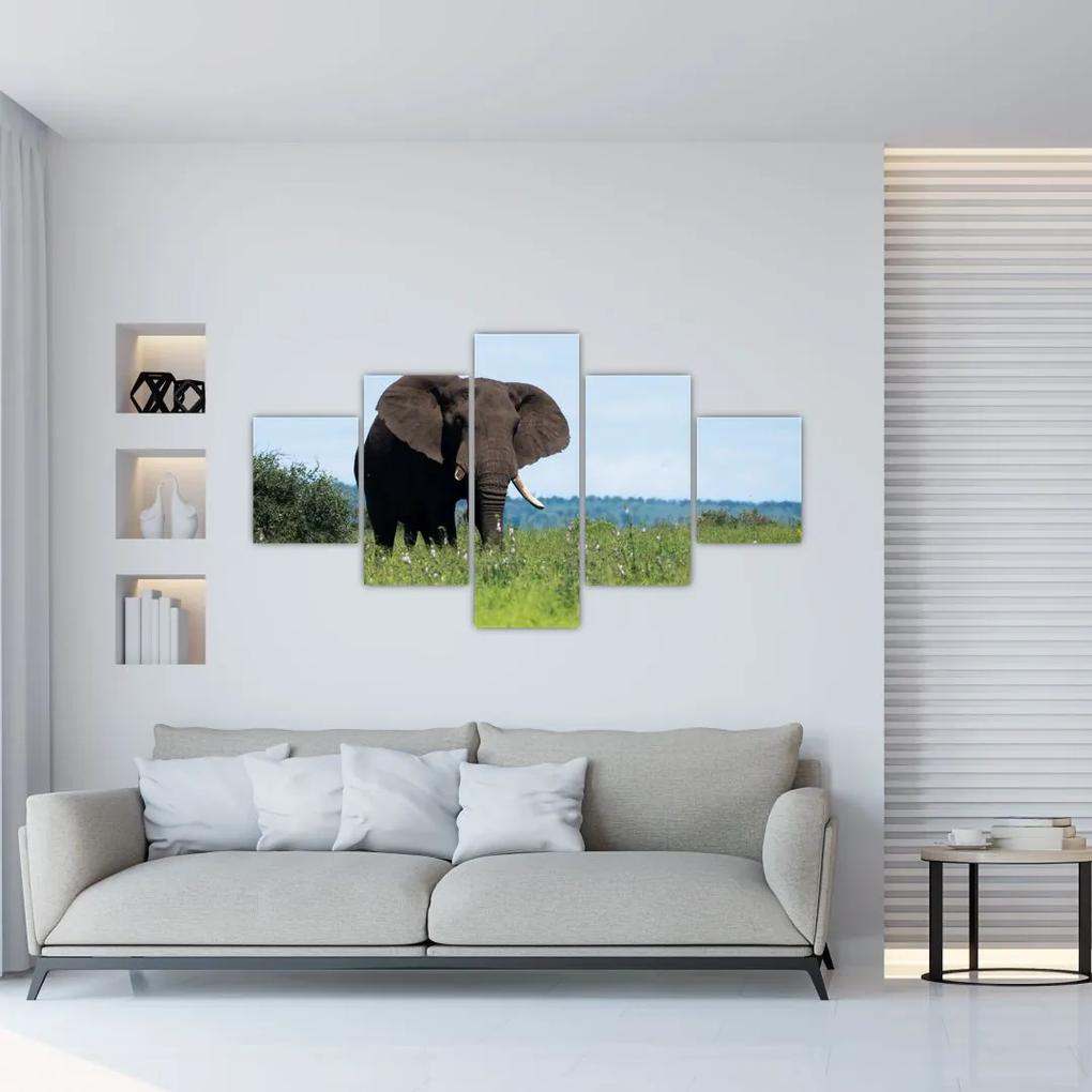 Tablou cu elefant (125x70 cm), în 40 de alte dimensiuni noi