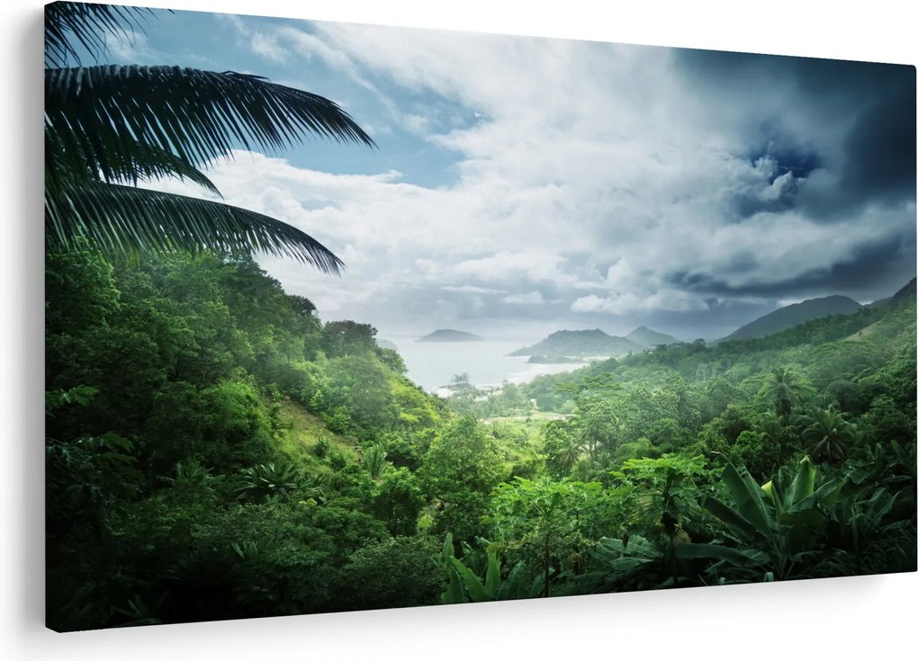 Tablou -Jungla din Seychelles (90x60 cm)