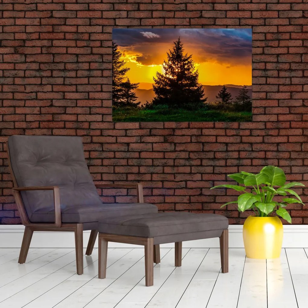 Tablou - coniferi (90x60 cm)