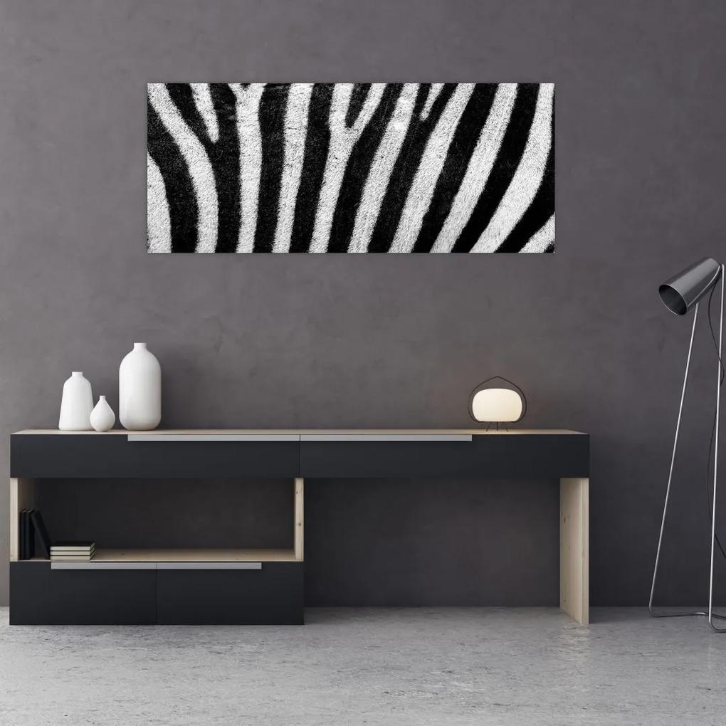 Tablou cu piele de zebră (120x50 cm), în 40 de alte dimensiuni noi