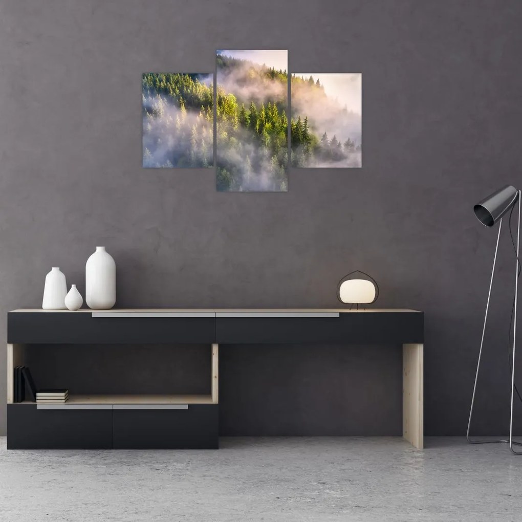Tablou peisajului montan (90x60 cm)