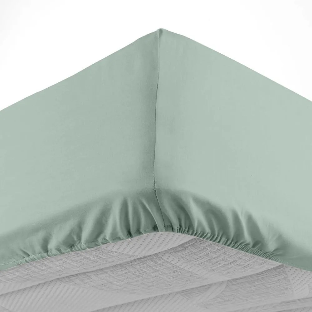 Cearceaf verde deschis din bumbac cu elastic 160x200 cm Lina – douceur d'intérieur