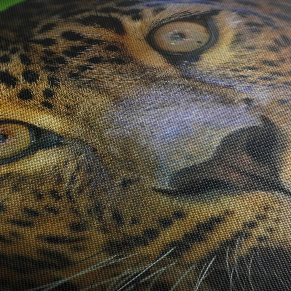 Tablou - Portretul leoparduslui, Sri Lanka (150x105 cm)