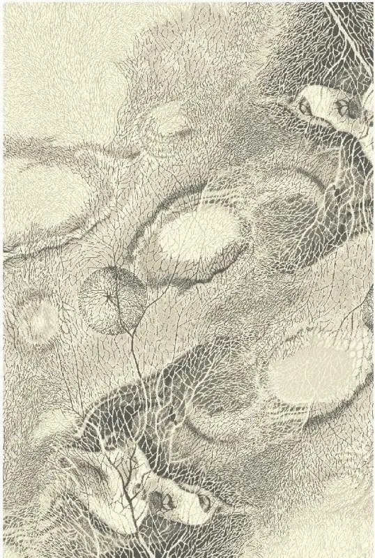 Covor lana Bellona pearl Selectează mărime: 160 X 240