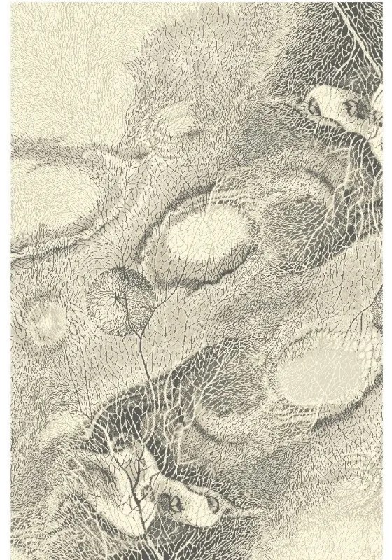 Covor lana Bellona pearl Selectează mărime: 200 X 300