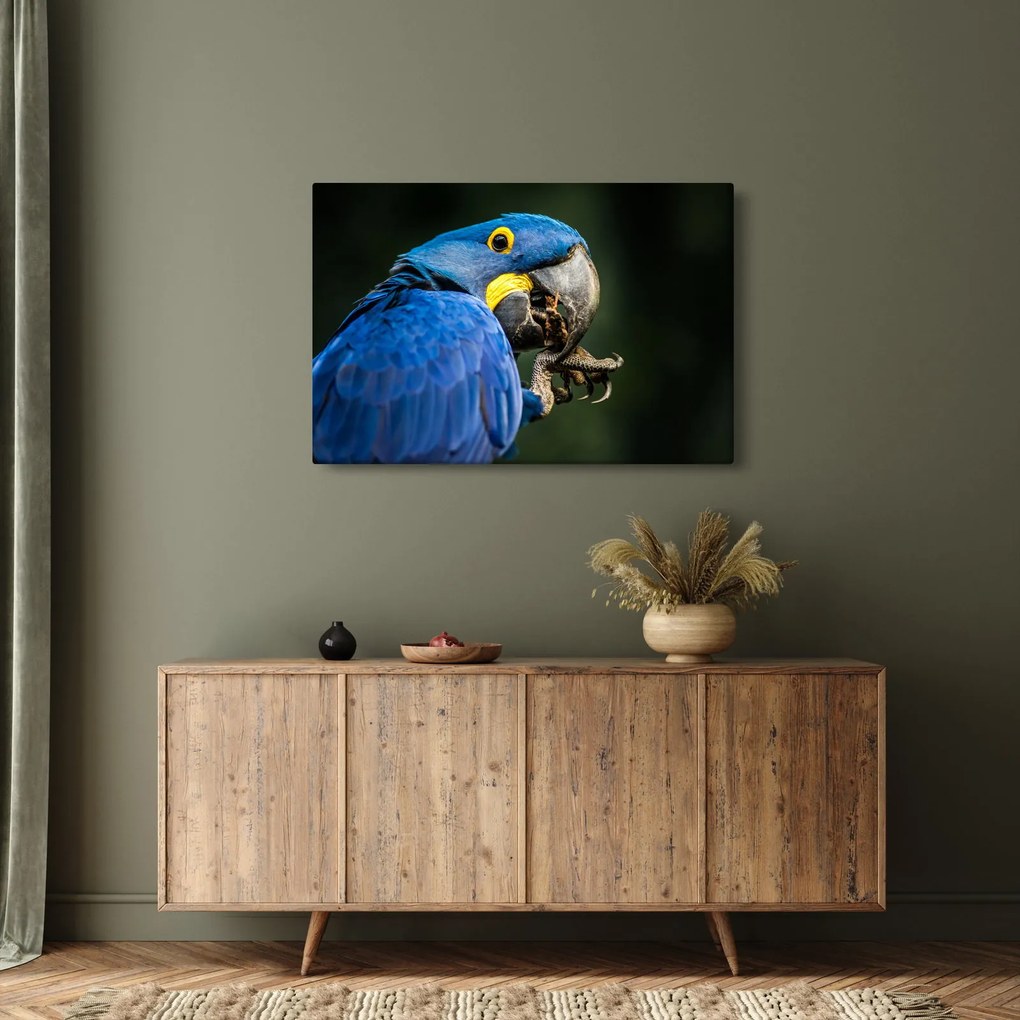 Tablou cu papagal (90x60 cm)