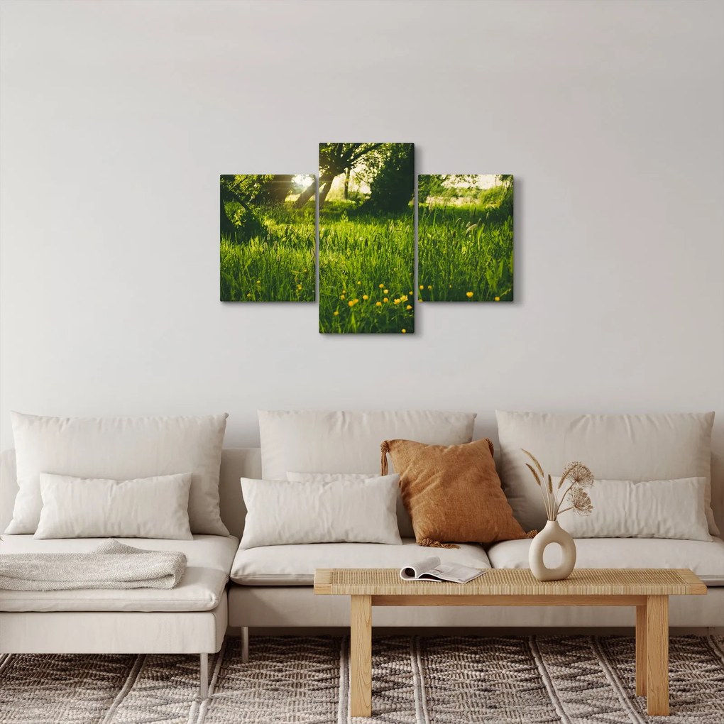 Tablou cu natura - lunca (90x60 cm)