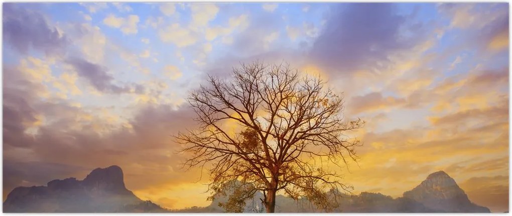 Tablou - Peisaj cu floarea soarelui (120x50 cm)