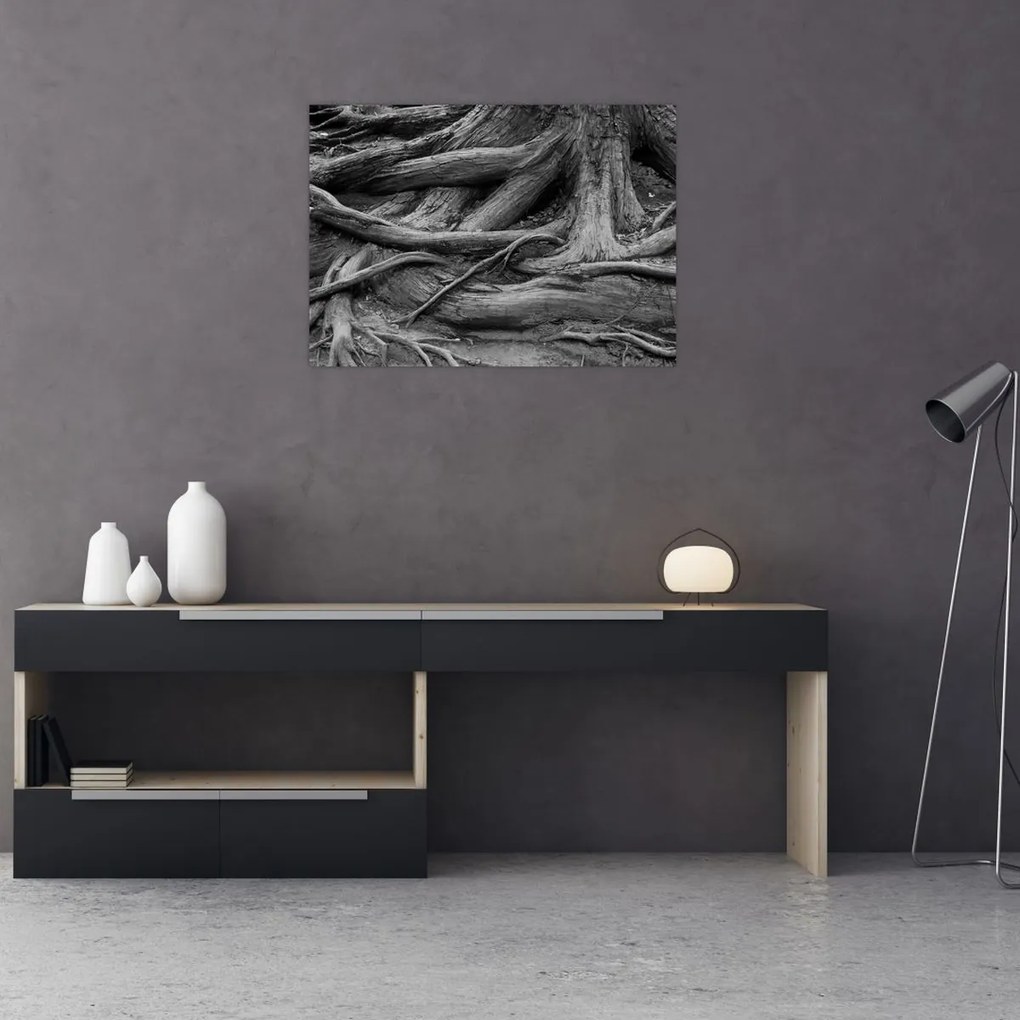 Tablou pe sticlă - Rădăcinile copacului (70x50 cm)