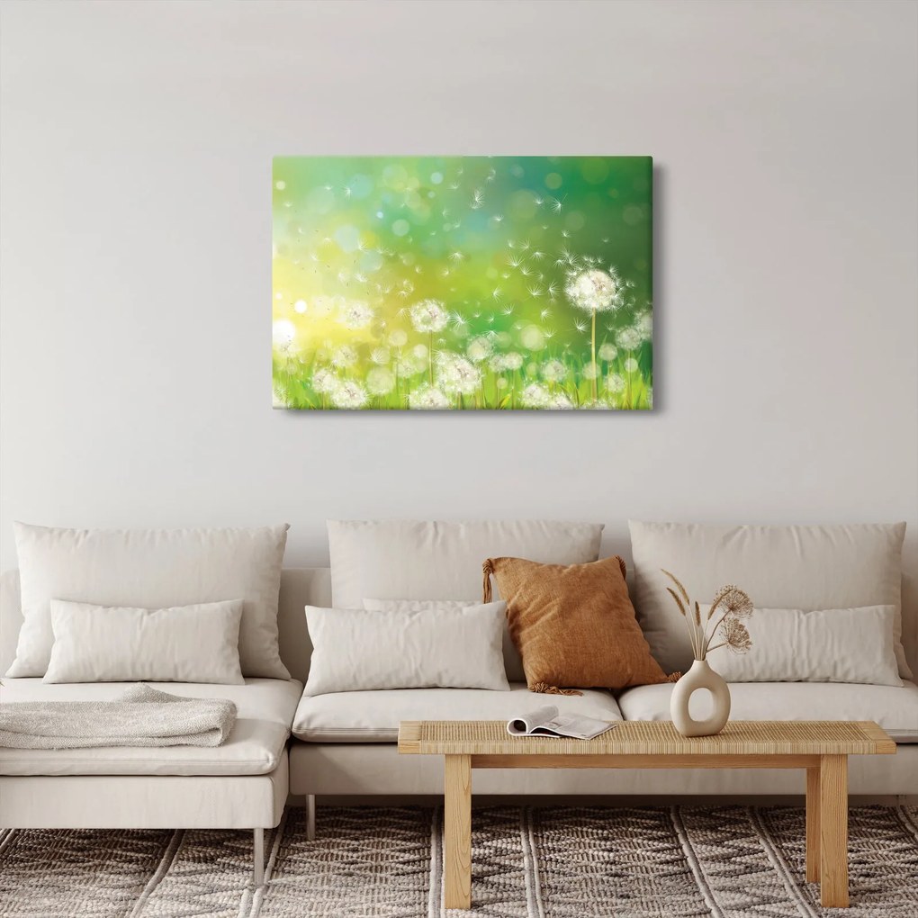 Tablou - Păpădie înflorită (90x60 cm)