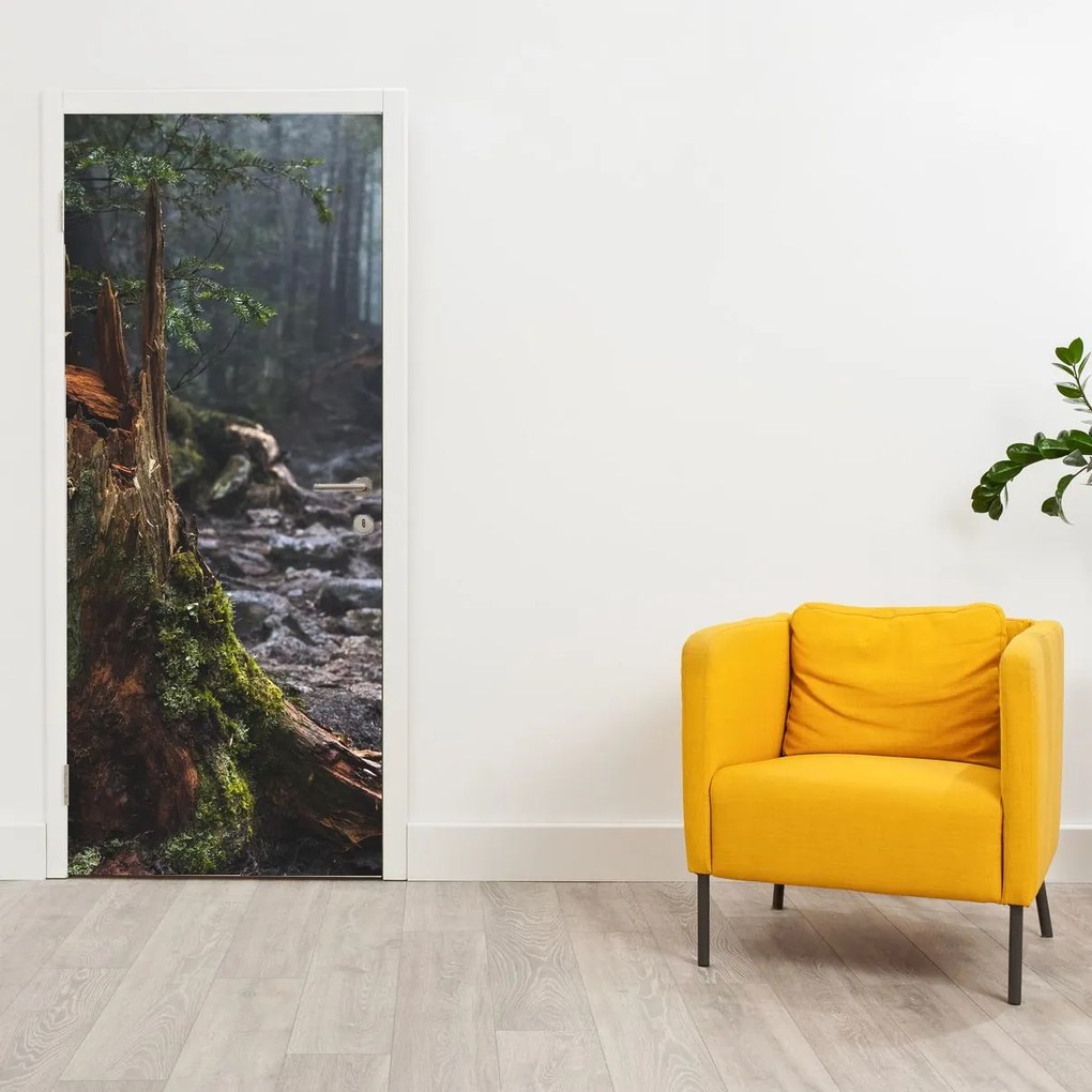 Fototapet pentru ușă - În pădure (95x205cm)