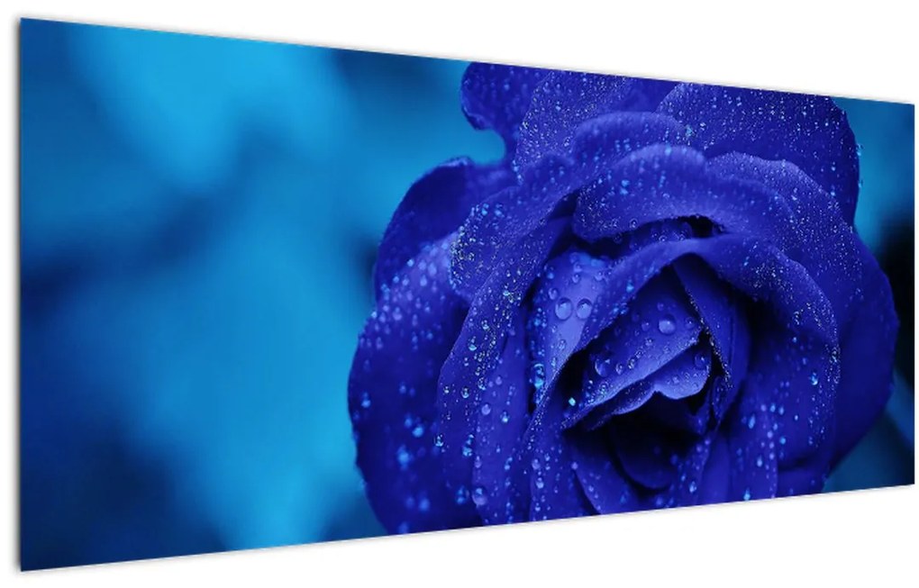 Tablou cu trandafir albastru (120x50 cm)