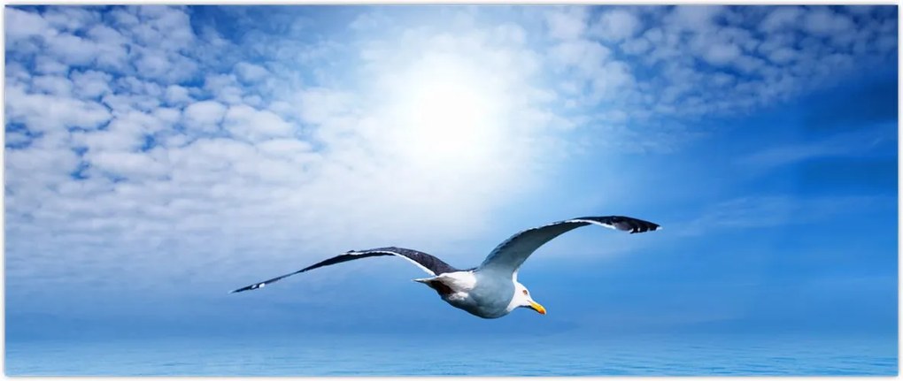 Tablou - Pescărușul peste mare (120x50 cm)