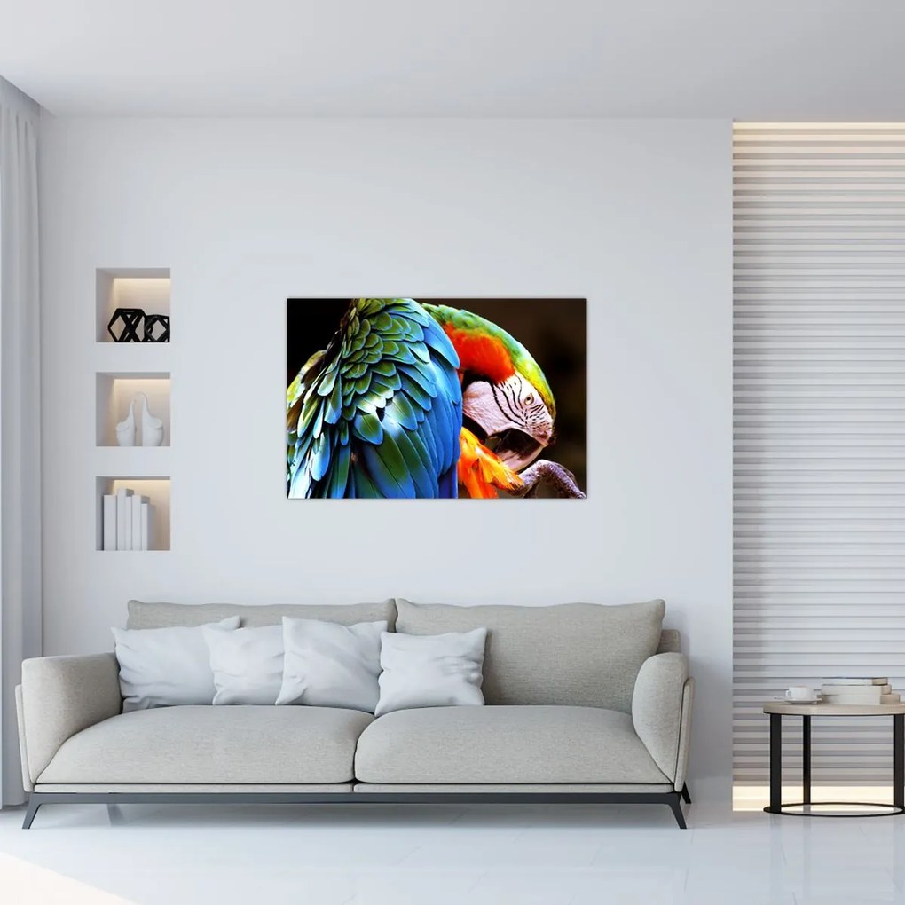 Tablou - Papagal (90x60 cm)