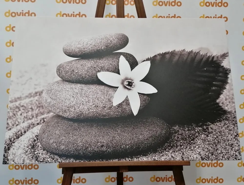 Tablou floare și pietre în nisip în design alb-negru
