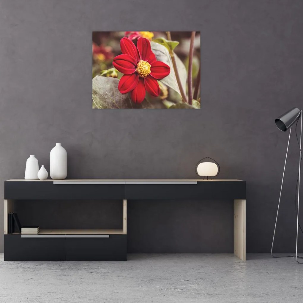 Tablou cu floare (70x50 cm)