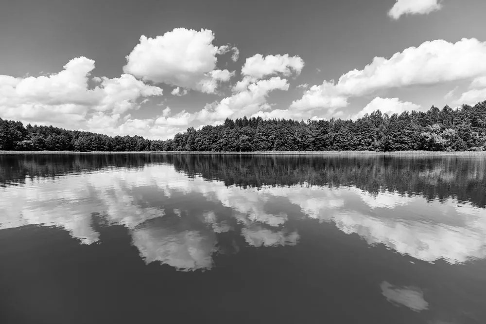 Fototapet lacul în vară în alb-negru