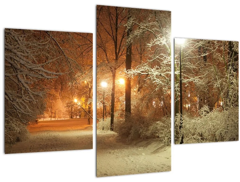 Tablou - Parcul înzăpezit (90x60 cm)