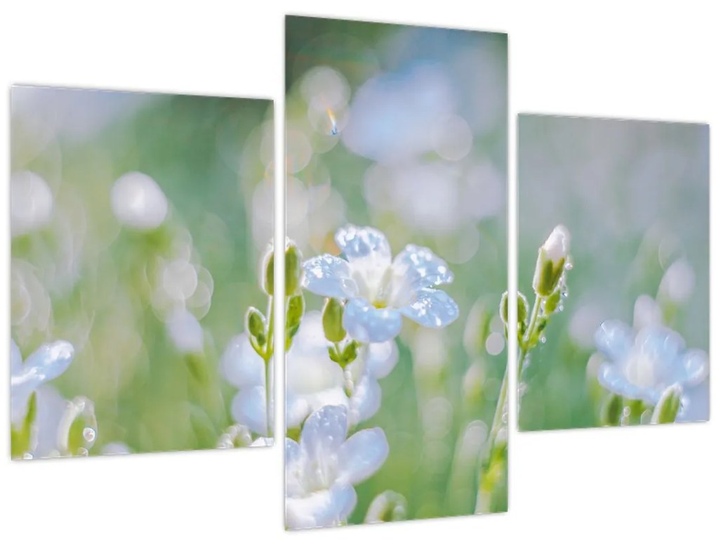 Tablou - Flori delicate (90x60 cm)