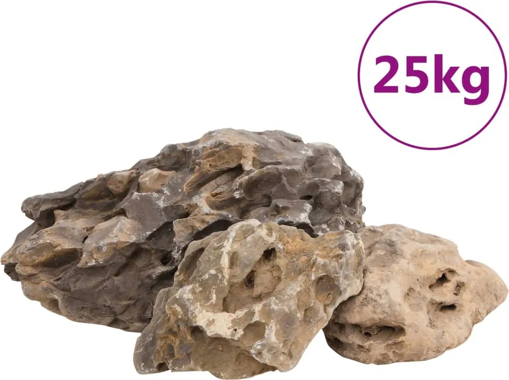 vidaXL Pietre dragon, 25 kg, gri, 10-40 cm