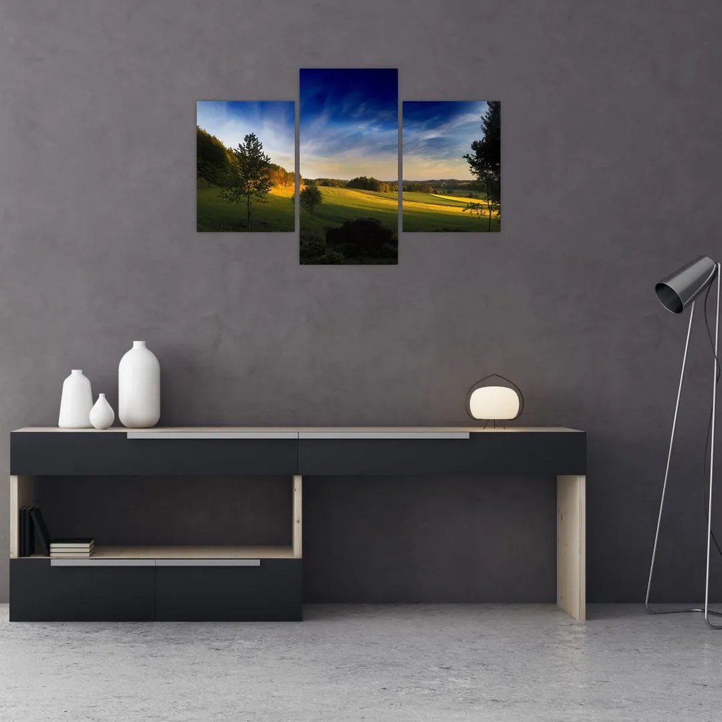 Tablou - Lunca de munte (90x60 cm)