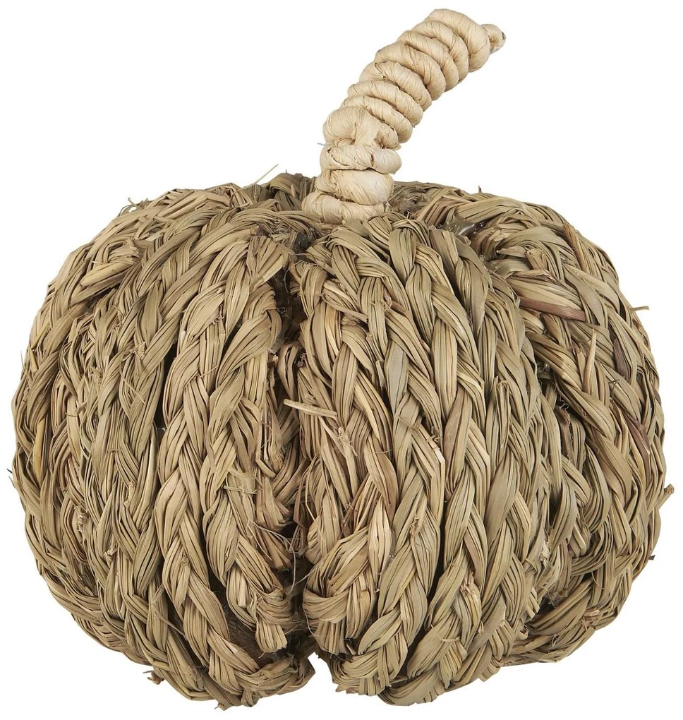 OFERTA Decoratiune dovleac PUMPKIN COACH GRASS II.calitate