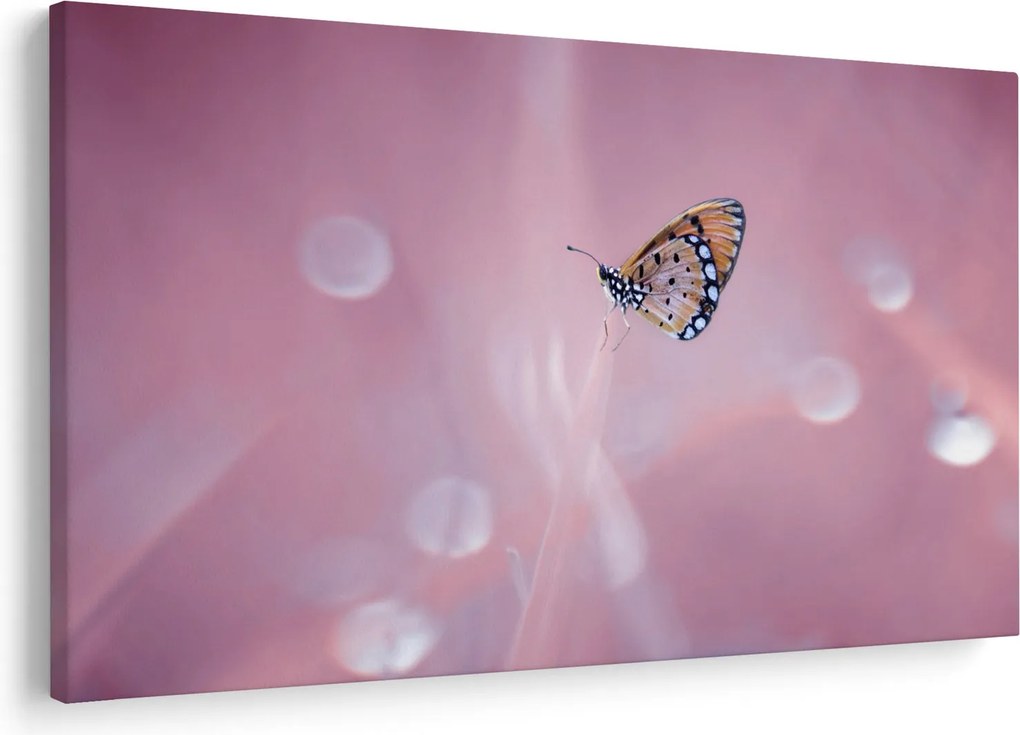 Tablou - Fluturele (90x60 cm)