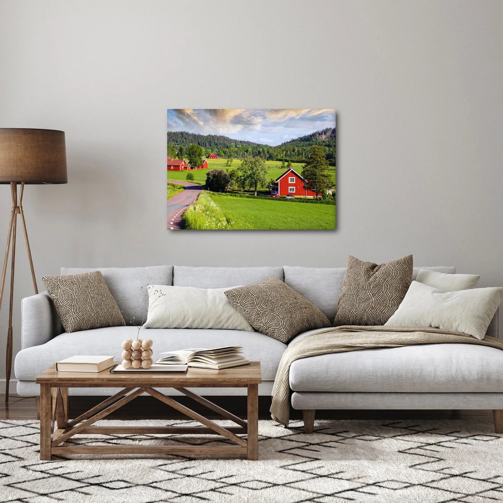 Tabloul cu țară (70x50 cm)
