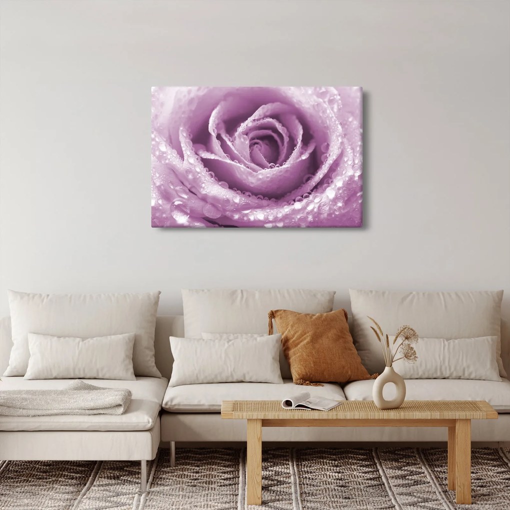 Tablou detaliu de floare de trandafir (90x60 cm)