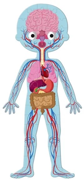 Janod - Puzzle educațional copii 225 piese corp uman
