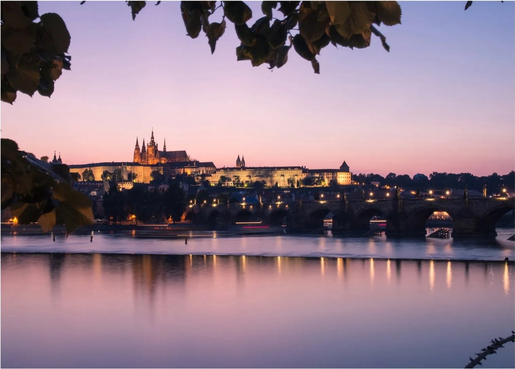 Tablou cu palatul din Praga și Vltava (70x50 cm)