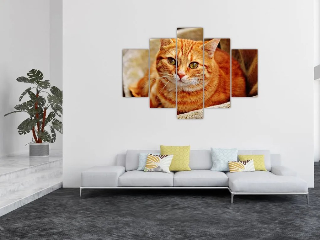 Tablou - Pisica tolenită (150x105 cm)
